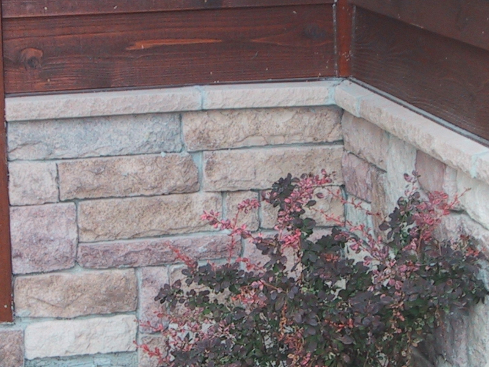 Proline Chardonnay LS Exterior